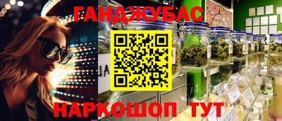 СК Кандалакша