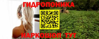 мдпв Канаш